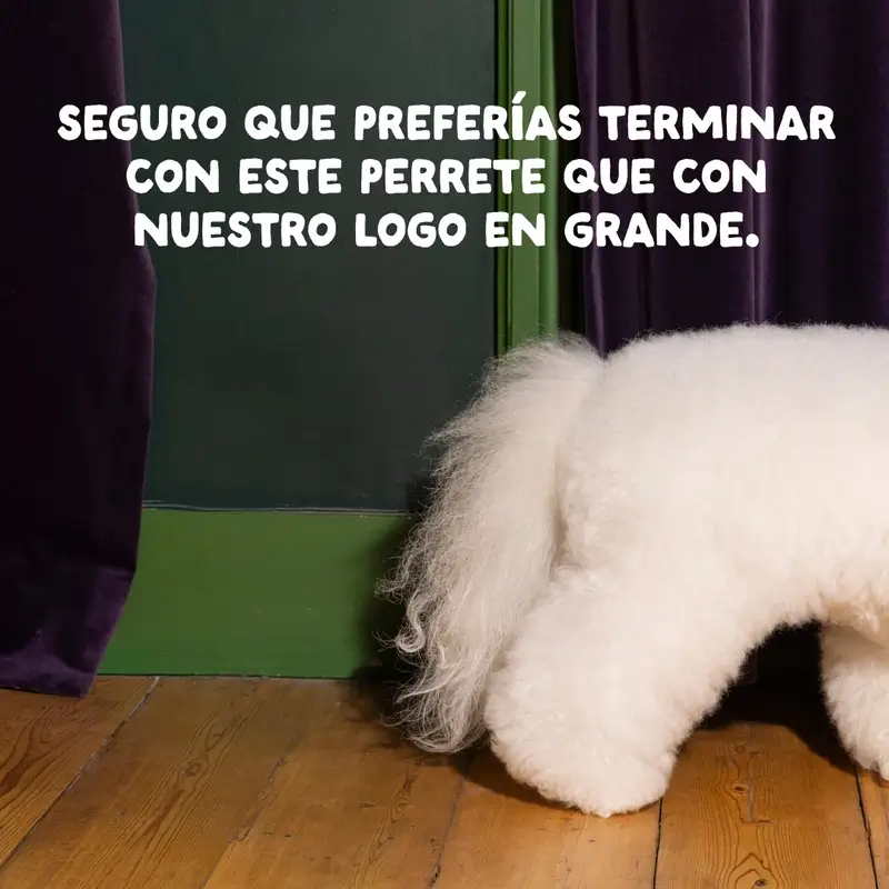 Edgard & Cooper Pienso Para Perros Senior Medianos Con Pollo Y Salmón Frescos , 7 kg