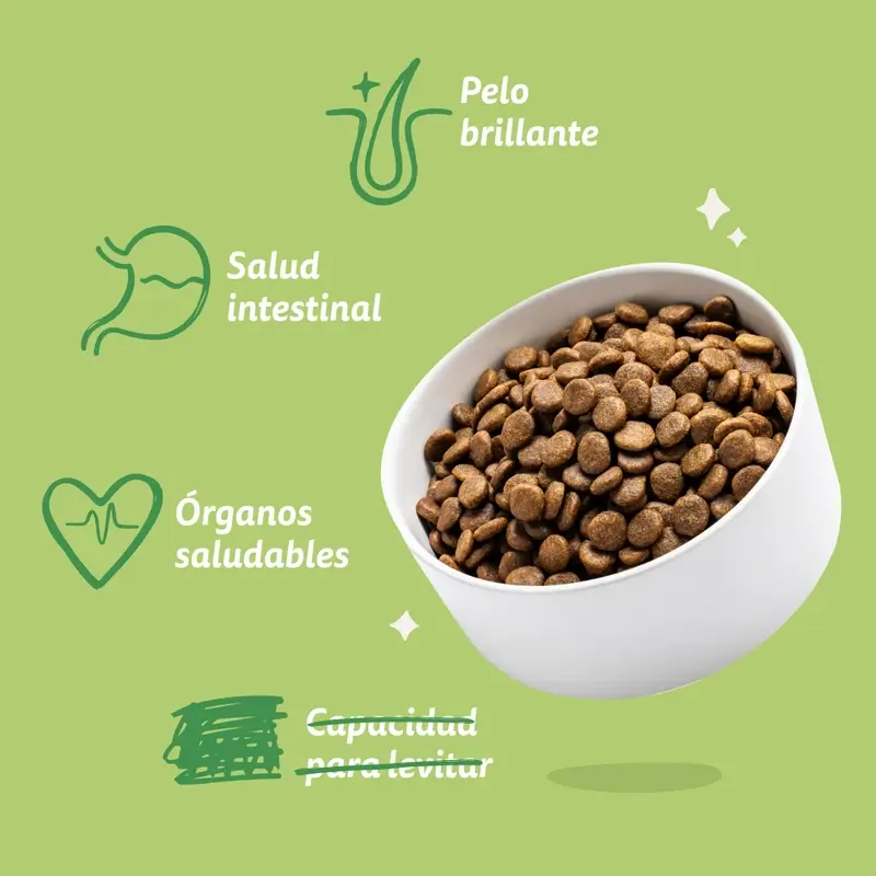 Edgard & Cooper Pienso Para Perros Adultos Medianos Con Cordero Fresco , 1 kg