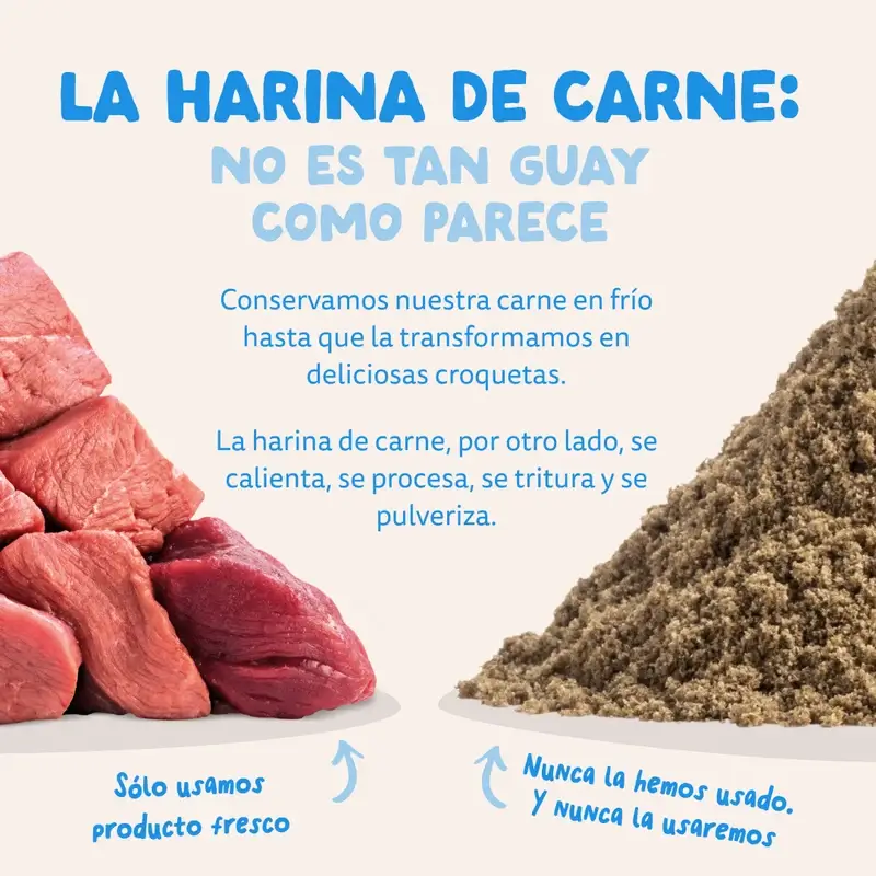 Edgard & Cooper Pienso Para Perros Adultos Medianos Con Salmón Fresco , 1 kg