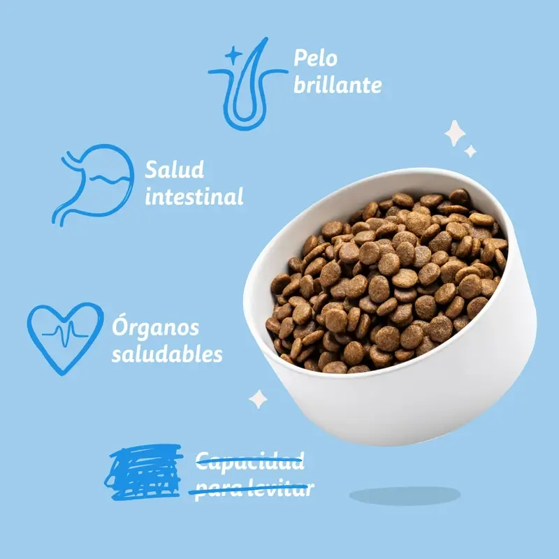 Edgard & Cooper Pienso Para Perros Adultos Mini Con Salmón Fresco , 0,7 kg