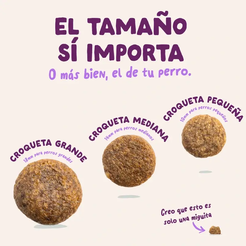 Edgard & Cooper Pienso Para Cachorros Grandes Con Salmón Y Pavo Frescos , 12 kg
