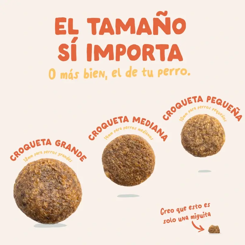 Edgard & Cooper Pienso Para Perros Adultos Mini Con Pollo Fresco , 3 kg