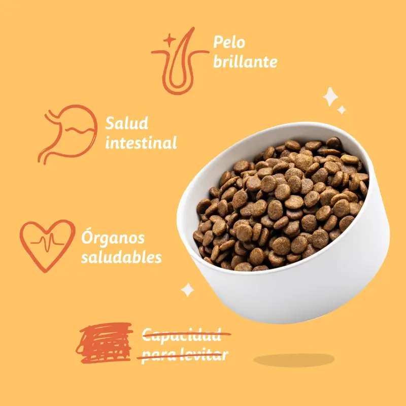 Edgard & Cooper Pienso Para Perros Adultos Mini Con Pollo Fresco , 3 kg