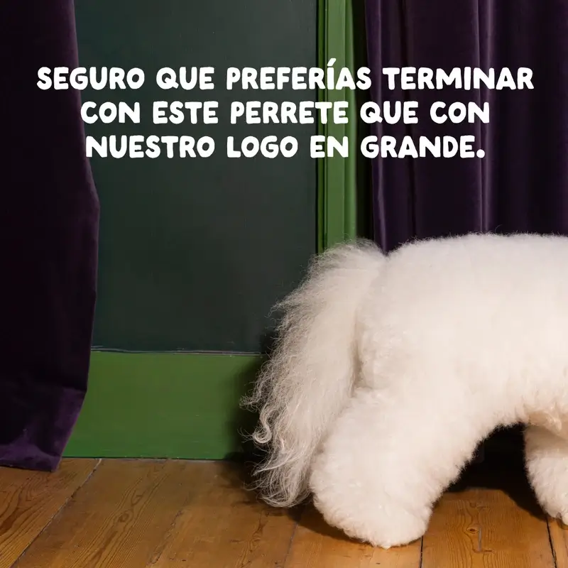 Edgard & Cooper Pienso Para Perros Adultos Medianos Con Pollo Fresco , 1 kg