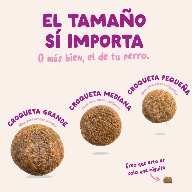 Edgard & Cooper Pienso Para Cachorros Grandes Con Pato Y Pollo Frescos , 12 kg
