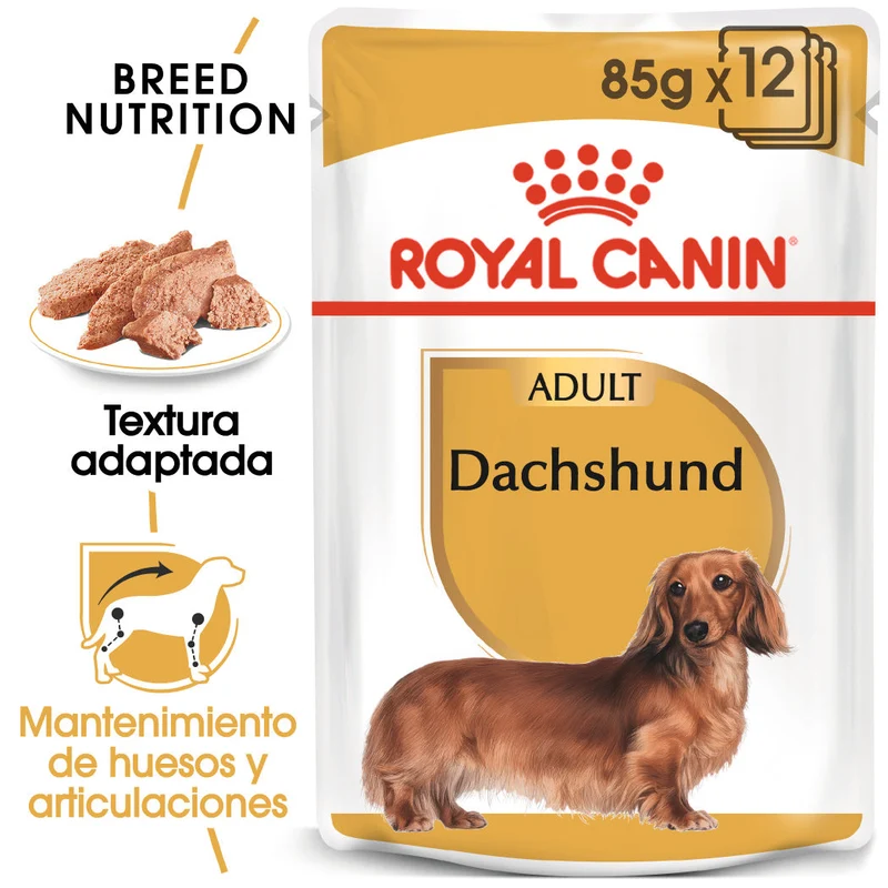 Royal Canin Teckel Dachshund Paté 85 g Comida Húmeda para Perros Salchicha