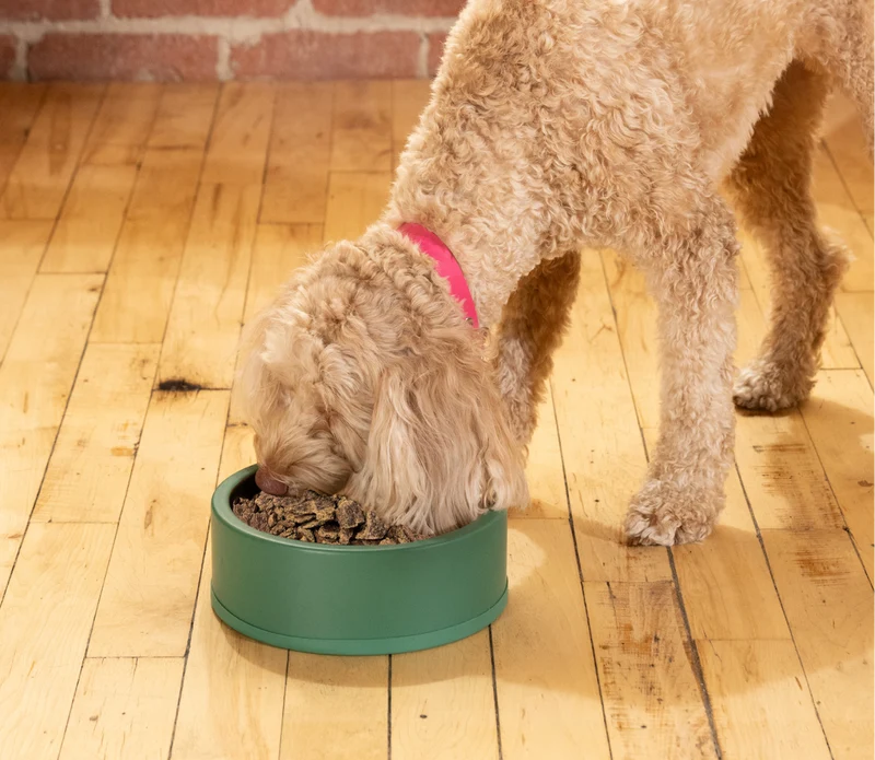 Open Farm Air Dried Surf & Turf Recipe Dry Dog Food 1LB
