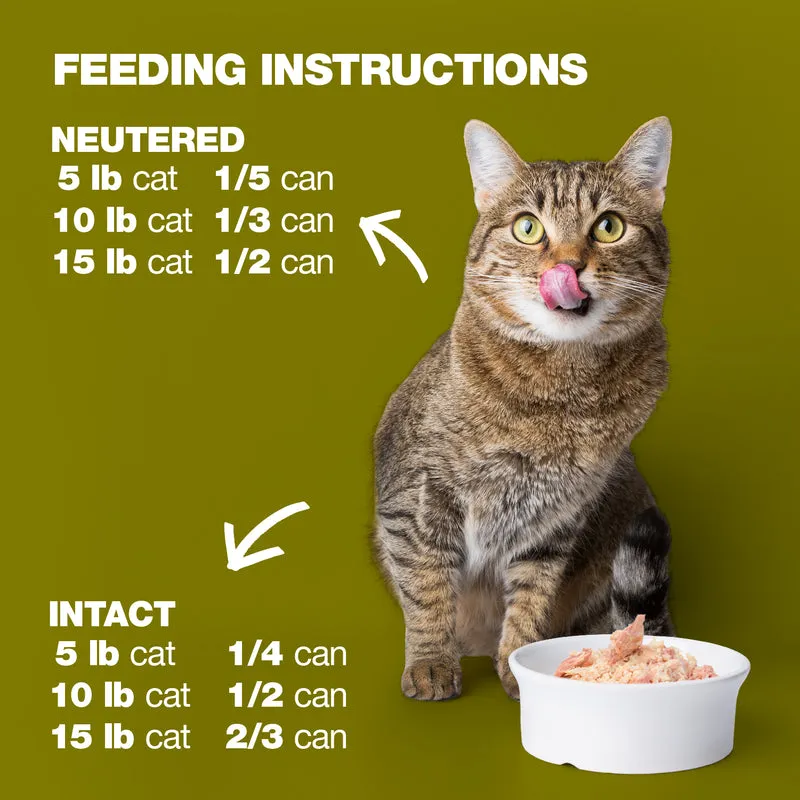 Natural Code 34 Tuna & Kiwi In Jelly Wet Cat Food 85G