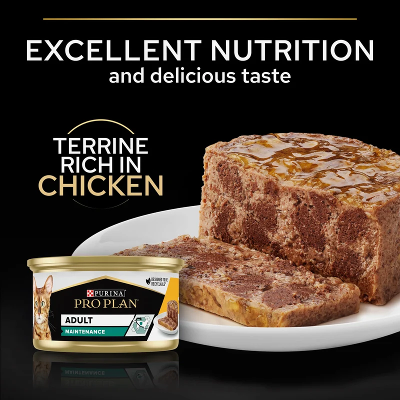 Purina Pro Plan Adult Maintenance Chicken Terrine Wet Cat Food 85G