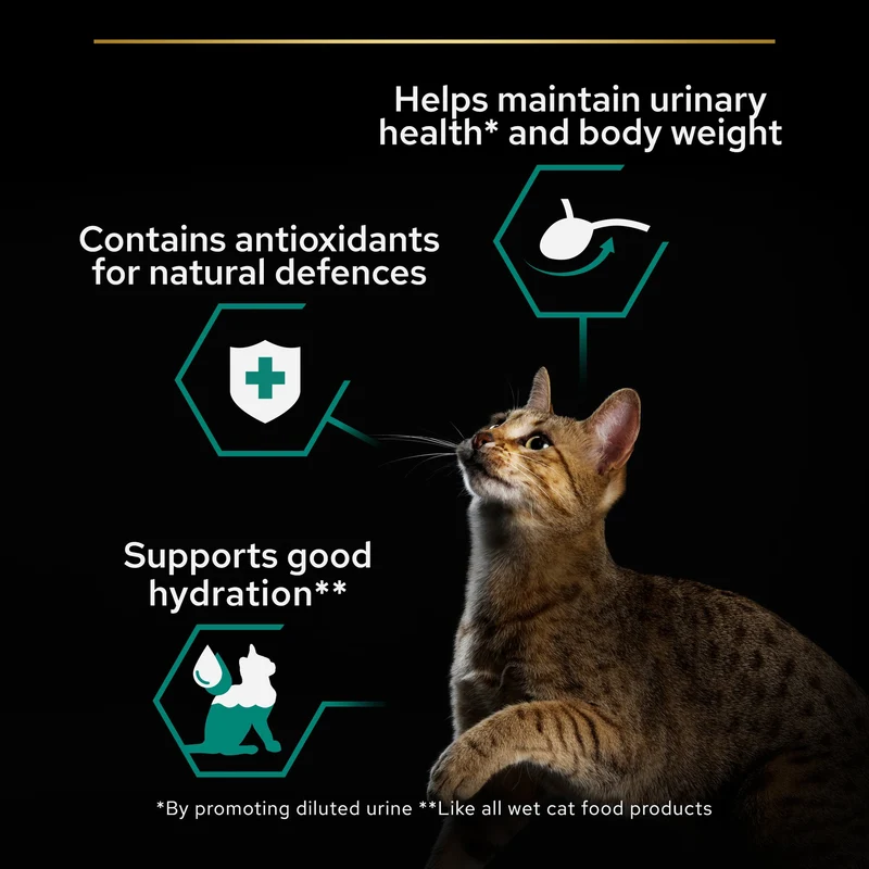 PURINA Pro Plan Sterilised Beef In Gravy Multipack Adult Wet Cat Food 10X85G