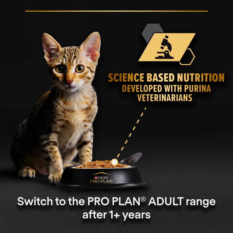 Purina Pro Plan Kitten Healthy Start Chicken Mousse Wet Cat Food 85G