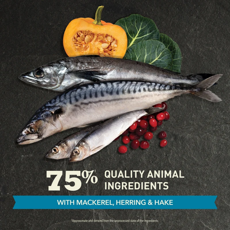Acana Pacifica Highest-Protein Dry Cat Food