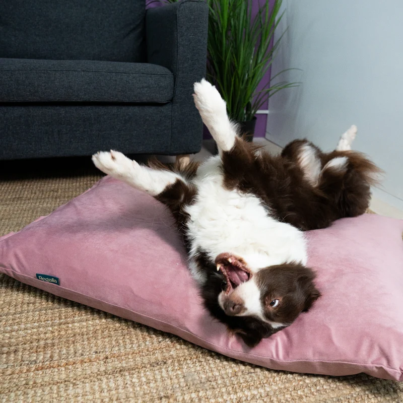 Regalia Velvet Deep Duvet Non-Slip Dog Bed - Rose/Medium