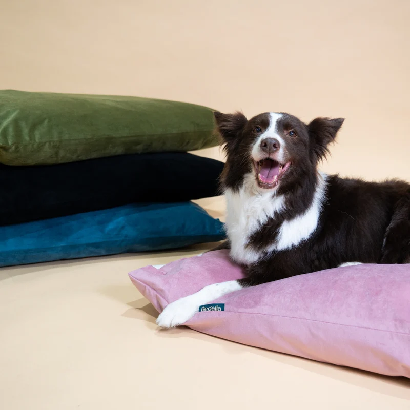 Regalia Velvet Deep Duvet Non-Slip Dog Bed - Black/Large