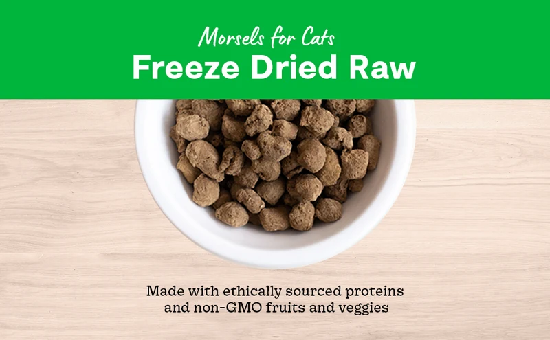 Open Farm Freeze Dried Raw Harvest Chicken Morsels Dry Cat Food 99G