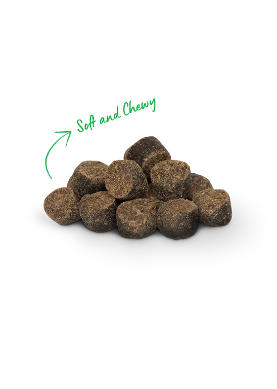 Open Farm Be Good Bites Grass-Fed Beef Recipe Dog Treat 170G