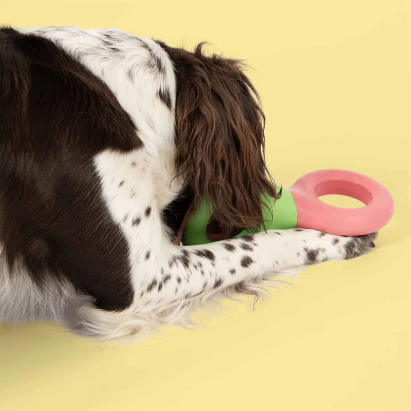 Ebi Coockoo Doodle Strong Rubber Dog Chew Toy - Green & Pink/23x10.5x3cm