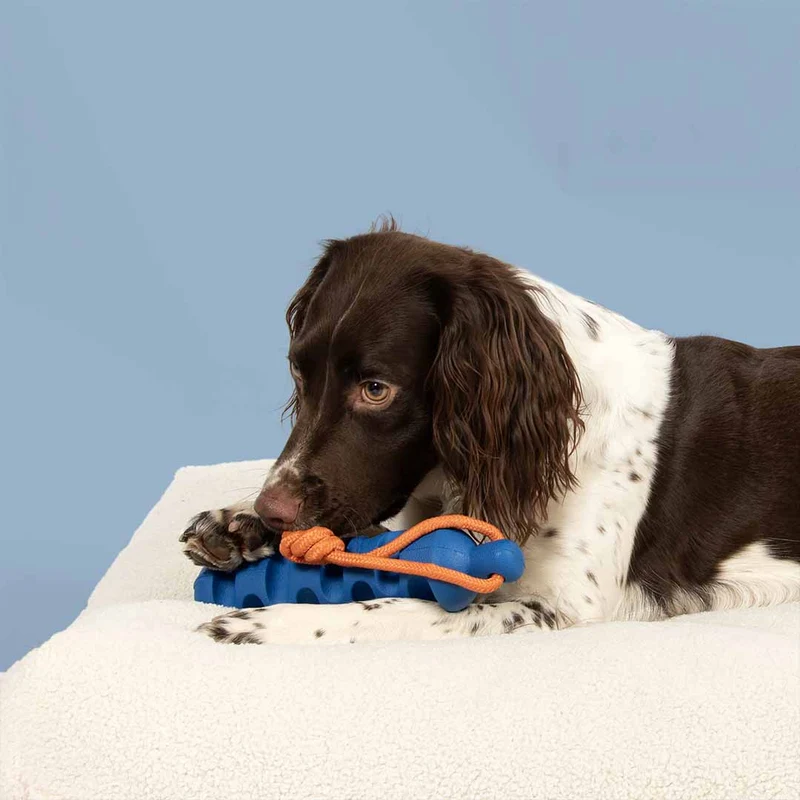 Ebi Coockoo Groovy Grip Dog Tug & Chew Toy - Blue/40x5.7cm