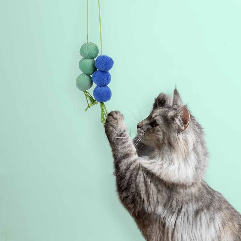 Ebi Coockoo Dizzy Dangle Bouncy Cat Toy - Blue & Green/60X4X4cm