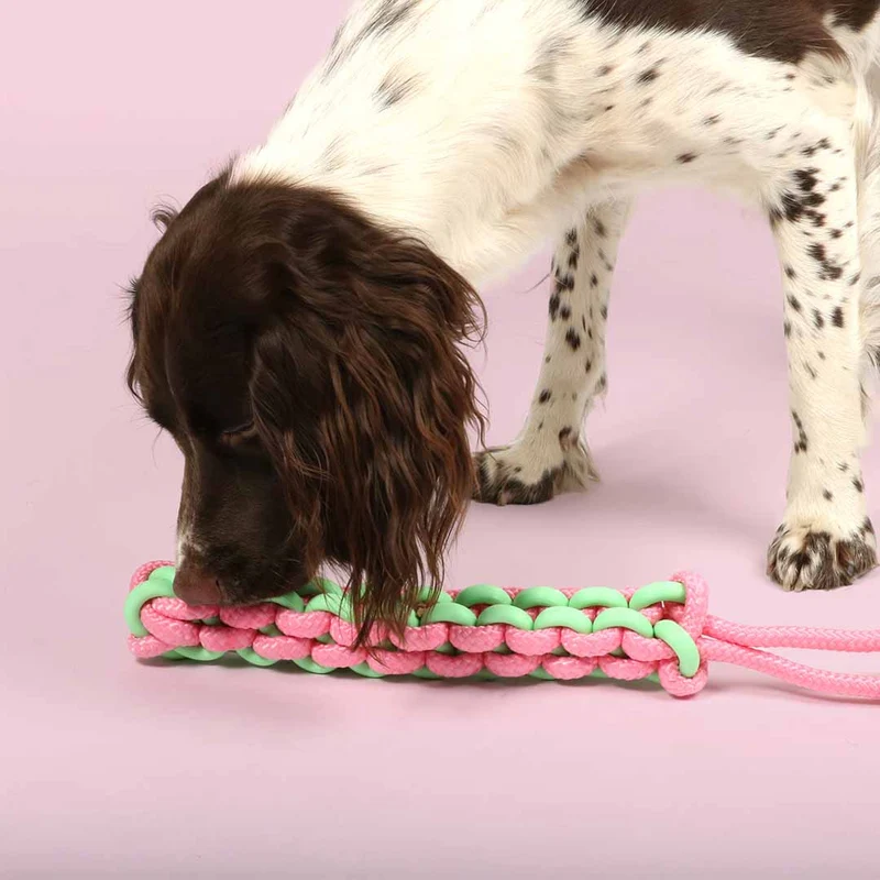 Ebi Coockoo Twisting Tugger Dog Tug Toy - Green & Pink/45X4.5cm