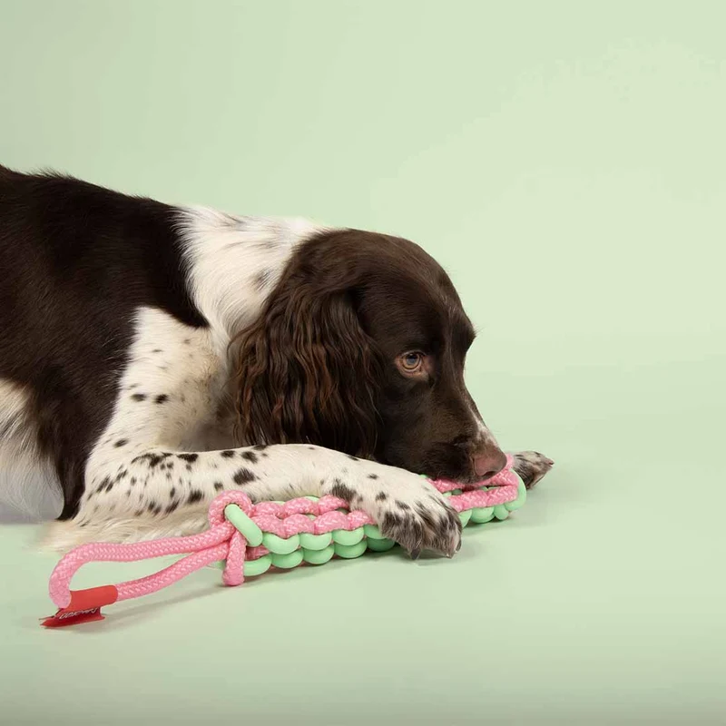 Ebi Coockoo Twisting Tugger Dog Tug Toy - Green & Pink/45X4.5cm