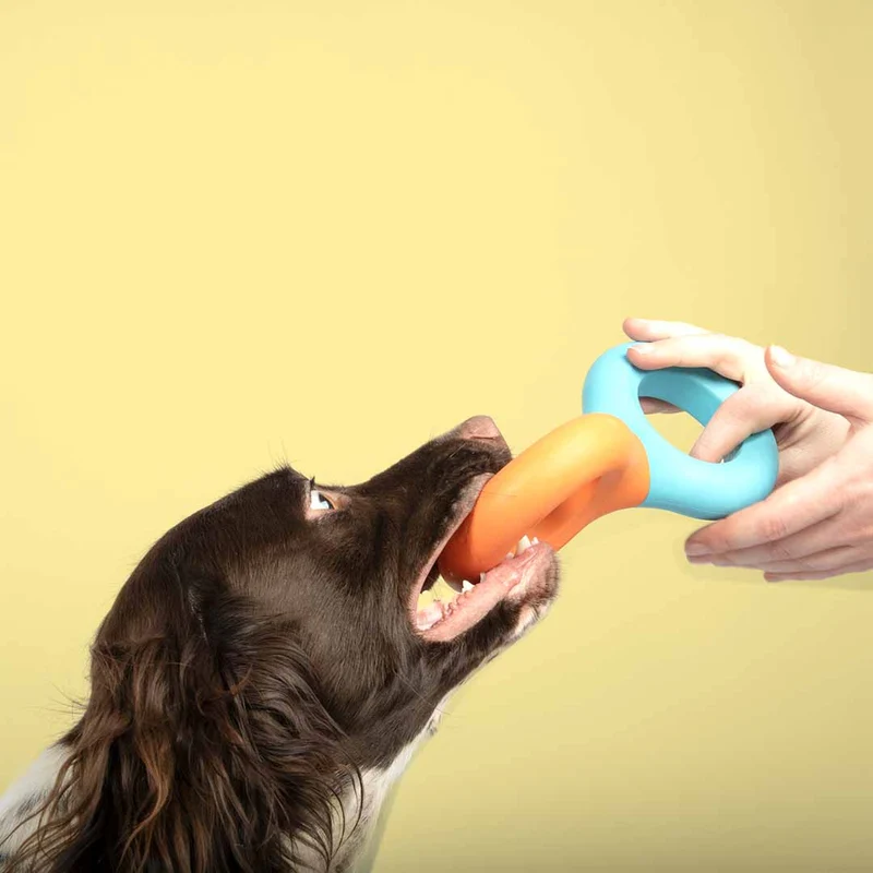 Ebi Coockoo Doodle Strong Rubber Dog Chew Toy - Blue & Orange/23x10.5x3cm