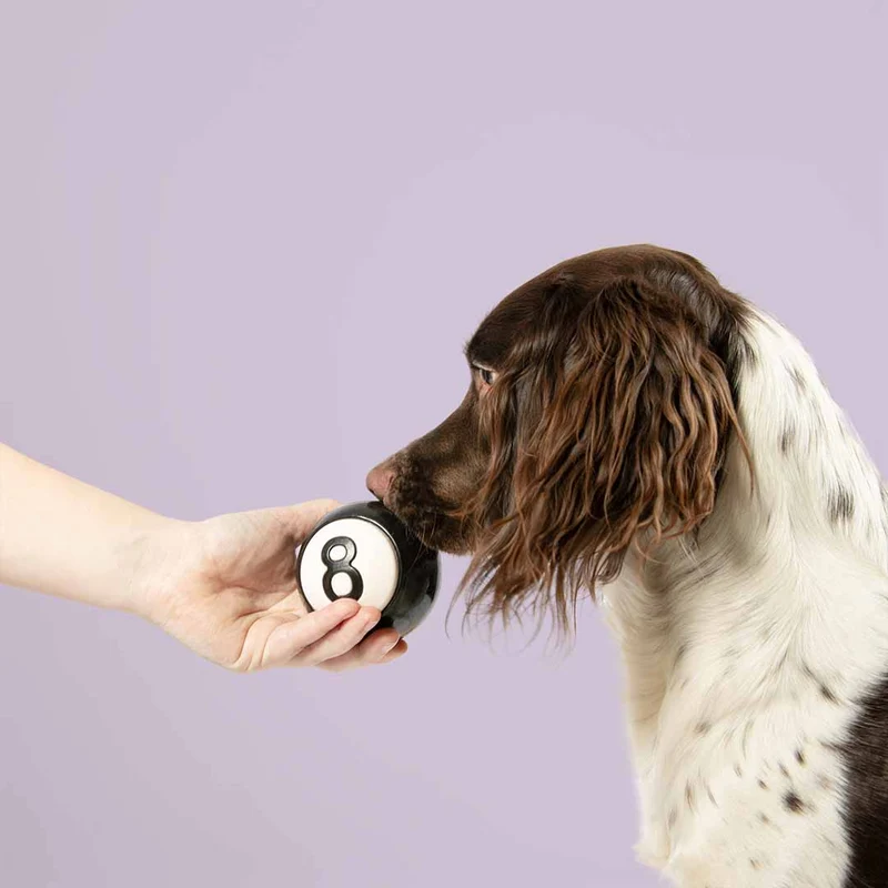 Ebi Coockoo Eight-Ball Treat Dispenser Ball Dog Snack Toy - Black/8cm